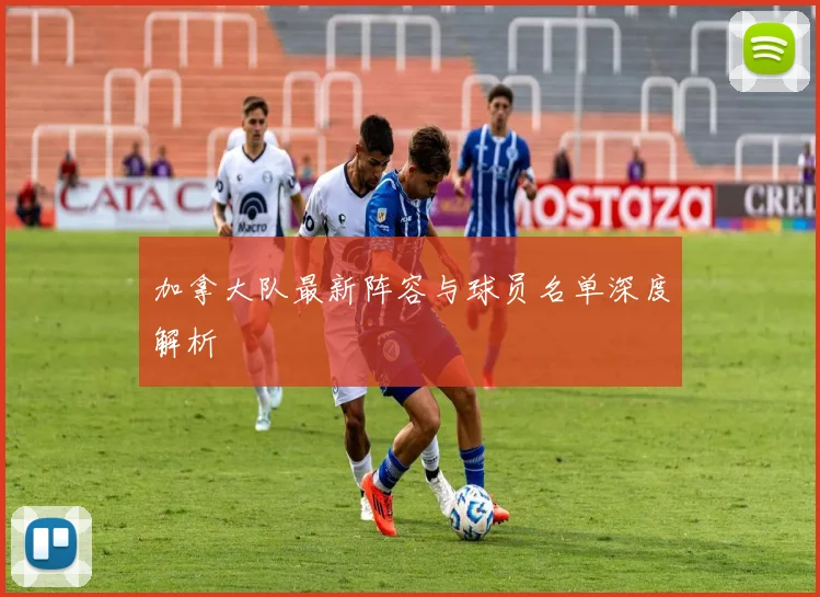 加拿大队最新阵容与球员名单深度解析