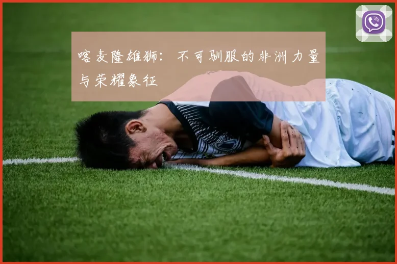喀麦隆雄狮：不可驯服的非洲力量与荣耀象征