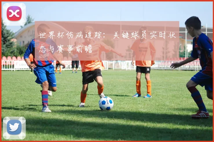 世界杯伤病追踪：关键球员实时状态与赛事前瞻